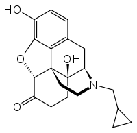 Manufacturing Intermediates for Naltrexone hydrochloride